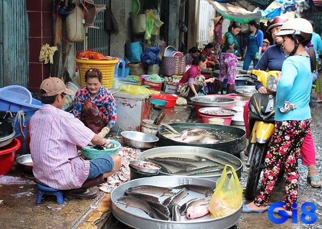 Nằm mơ thấy mua cá đánh con gì - Dự báo có cả hên và xui 