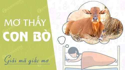 Mơ thấy đàn bò đánh số gì? Giải mã điềm báo giấc mơ thấy bò