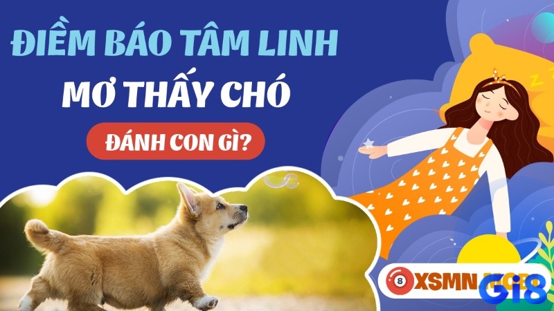 Khám phá những con số may mắn liên quan đến giấc mơ thấy làm thịt chó