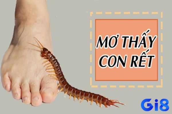 Mơ thấy con rết đánh số gì? Điềm báo trong giấc mơ