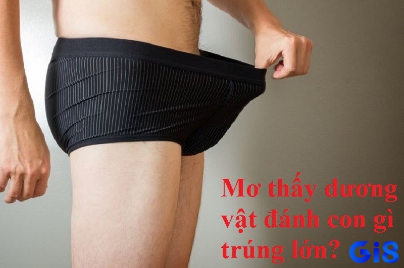 Mơ thấy dương vật đánh con gì cho dễ trúng giải