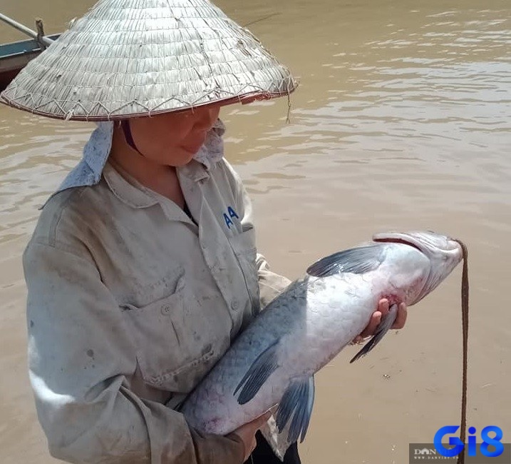 Mơ thấy bắt cá trong sông cho thấy sự kiên trì của bạn sẽ được đền đáp xứng đáng