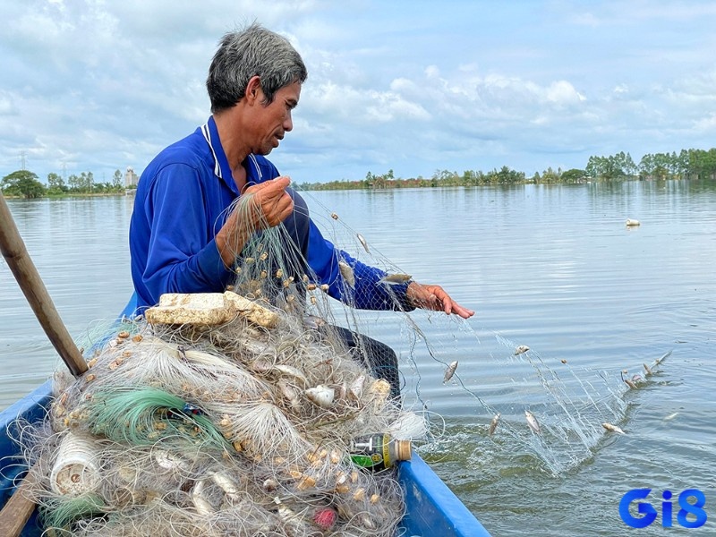 Mơ thấy bắt cá bằng lưới cho thấy bạn đang nỗ lực nhiều để đạt mục tiêu