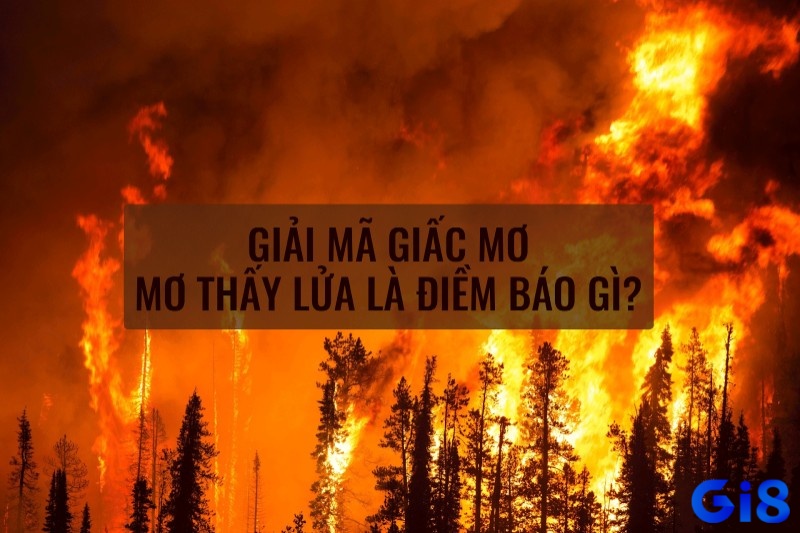 Khám phá với gi8 mơ thấy lửa đánh con gì nhé!